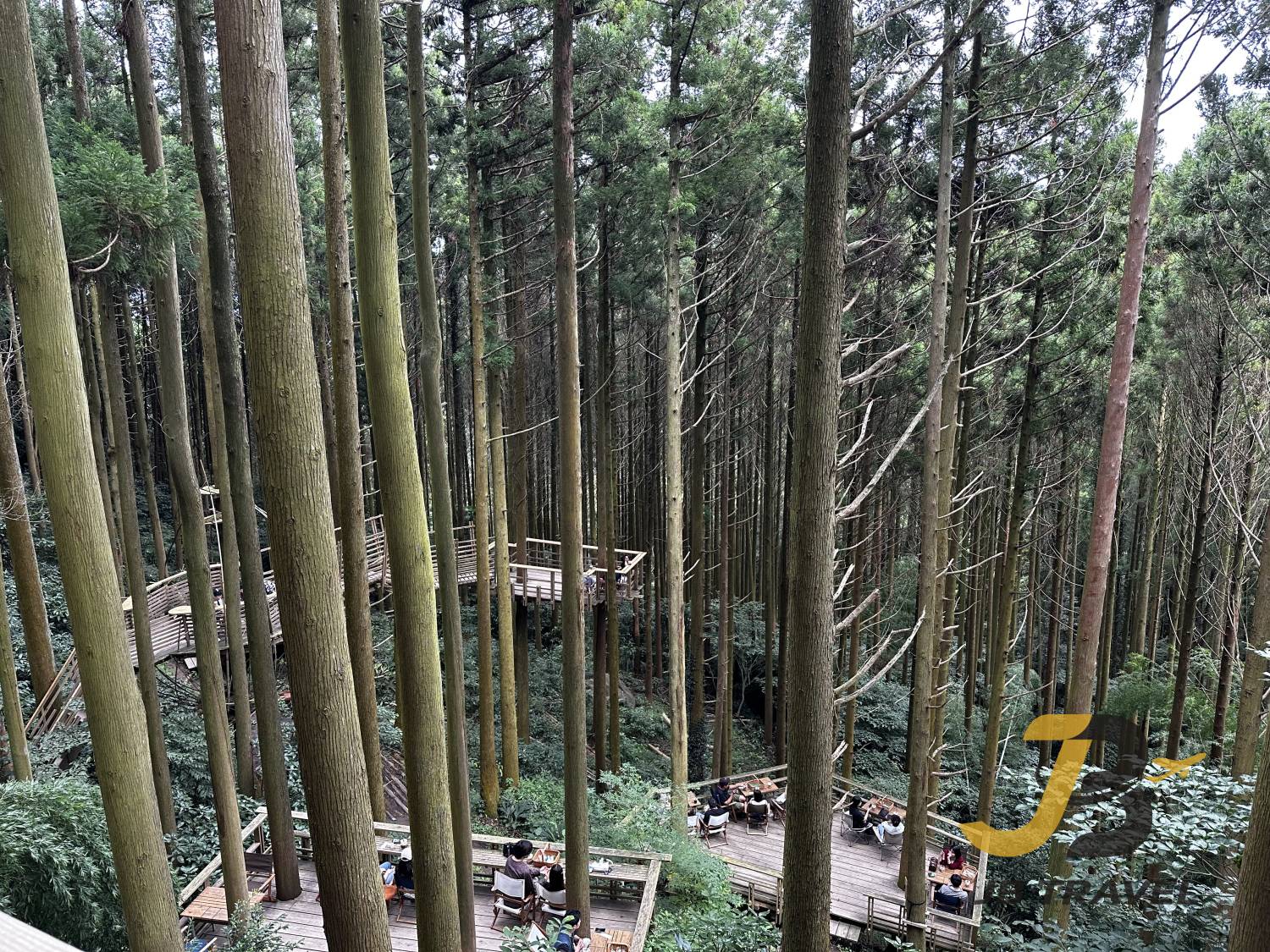 糸島｜白絲瀑布＆森林咖啡＆龍貓之森&燒海鮮&手工花鹽布丁＆櫻井二見浦＆天使之翼＆椰子樹鞦韆 一日遊（博多站出發）廣東話&普通話&英語導遊