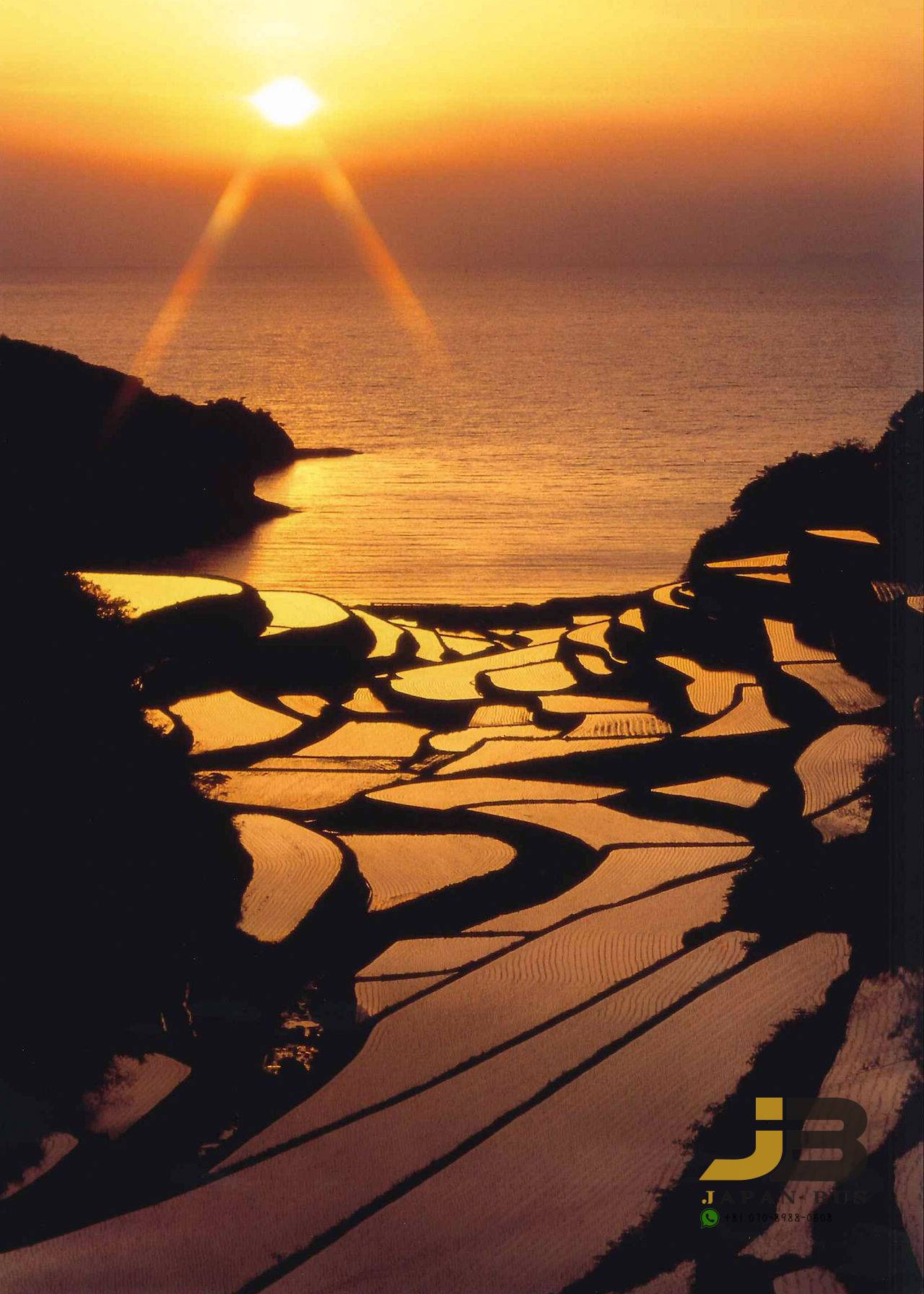 佐賀・唐津|呼子朝市・海底觀光船・海底餐廳・海中展望塔・棚田絕景・鏡山展望台|探索海洋之旅一日遊|博多站出發(廣東話/中文導遊)