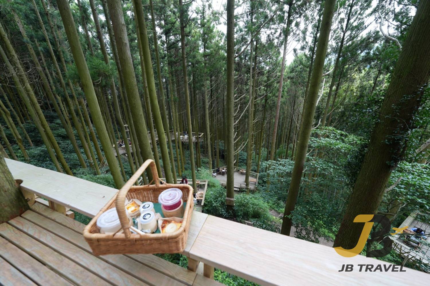 糸島｜白絲瀑布＆森林咖啡＆龍貓之森&燒海鮮&手工花鹽布丁＆櫻井二見浦＆天使之翼＆椰子樹鞦韆 一日遊（博多站出發）廣東話&普通話&英語導遊