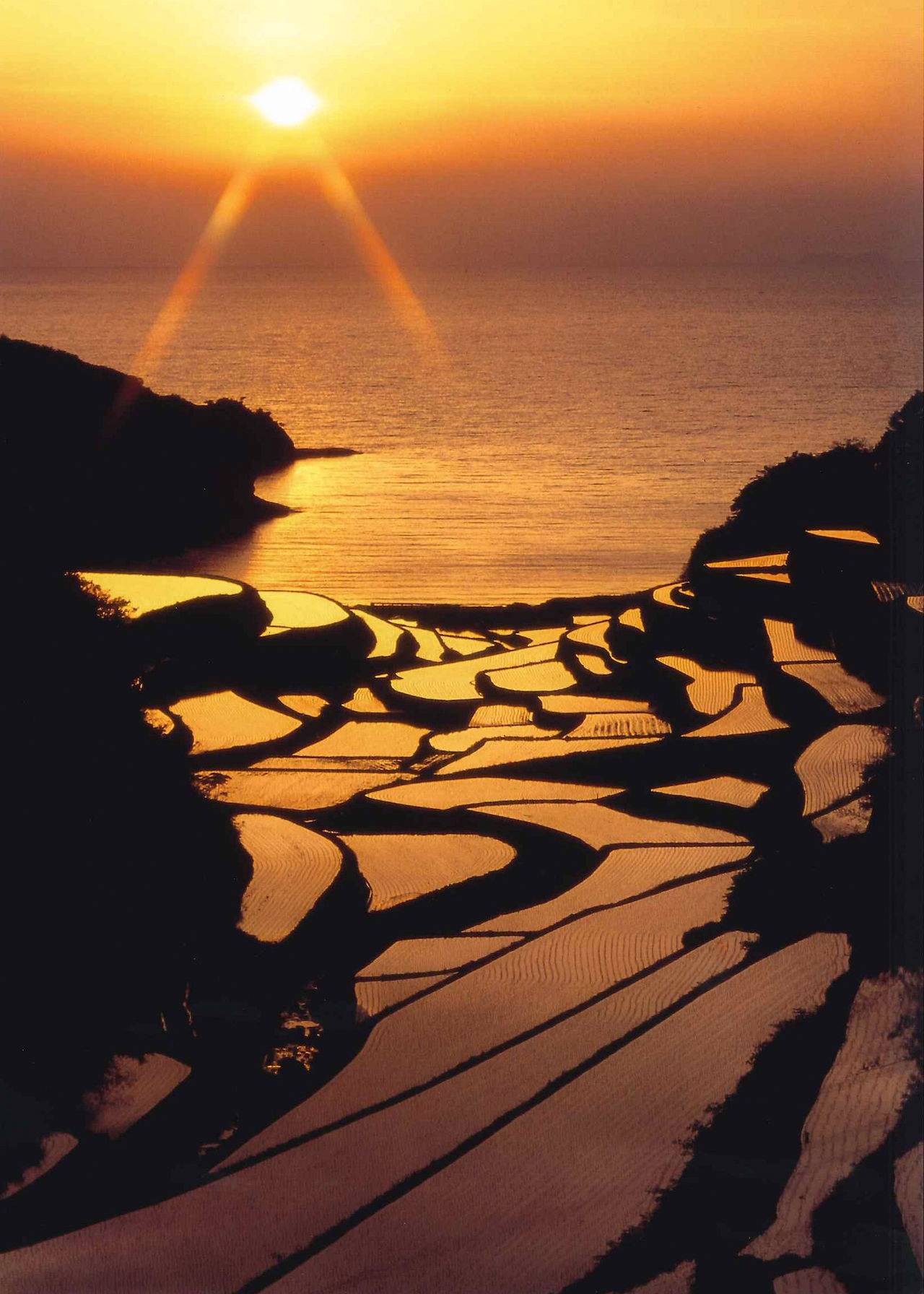 佐賀・唐津｜呼子朝市・海底觀光船・海底餐廳・海中展望塔・棚田絕景・鏡山展望台｜探索海洋之旅一日遊｜博多站出發（廣東話／中文導遊）